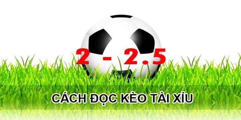 Kèo Tài Xỉu 2.5 – Mẹo Phân Tích Nâng Cao Lợi Nhuận