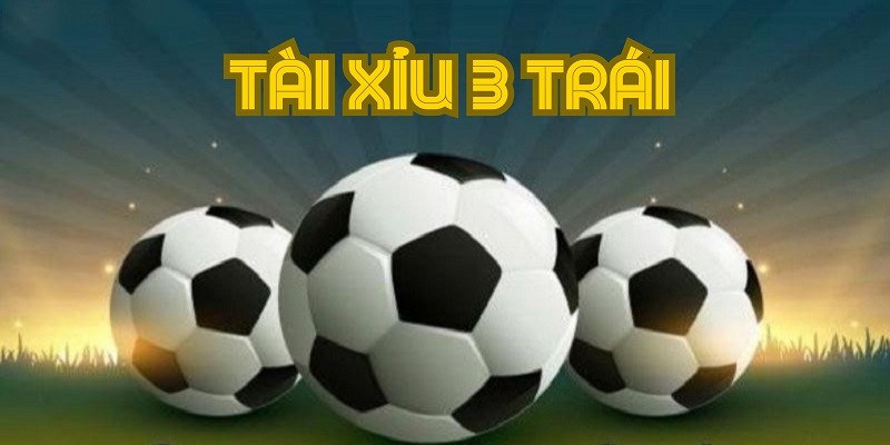 Khái niệm cơ bản về hình thức cược 2.5-3