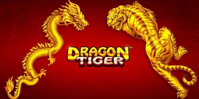 Đôi nét cơ bản về thủ thuật chơi rồng hổ casino 