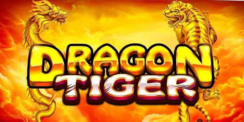 Hội viên áp dụng chiến thuật gấp thếp để tăng cơ hội thắng 